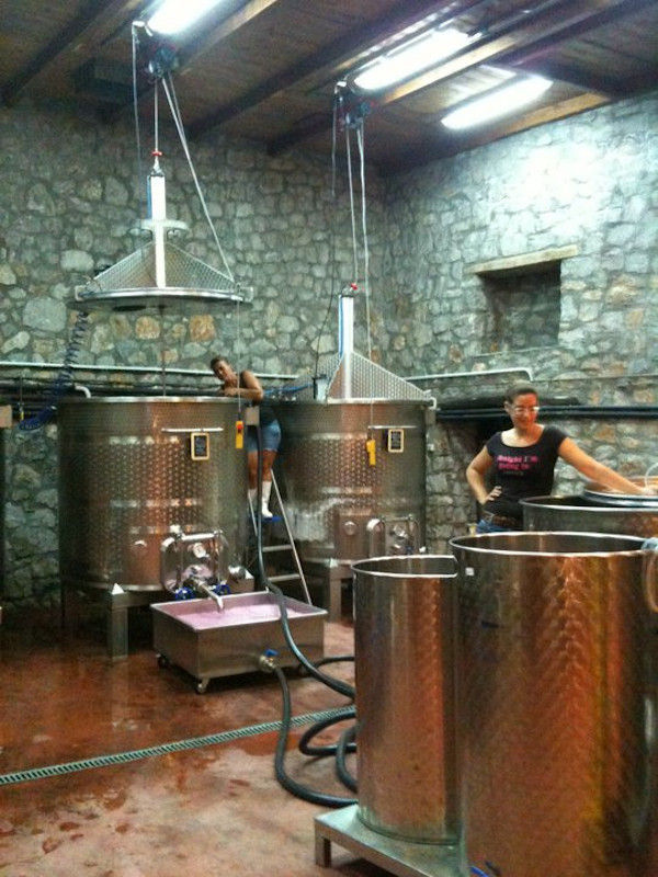 woman on the ladder using a hydraulic pump to collect wine from the 'La Tour Melas' tank into vans